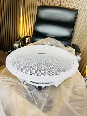 30watts Ceiling Speakers With Woofer