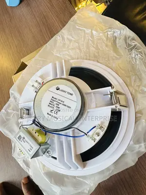 Original 30watts Ceiling Speaker