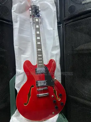 Semi-Hollow Body Electric Guitar,