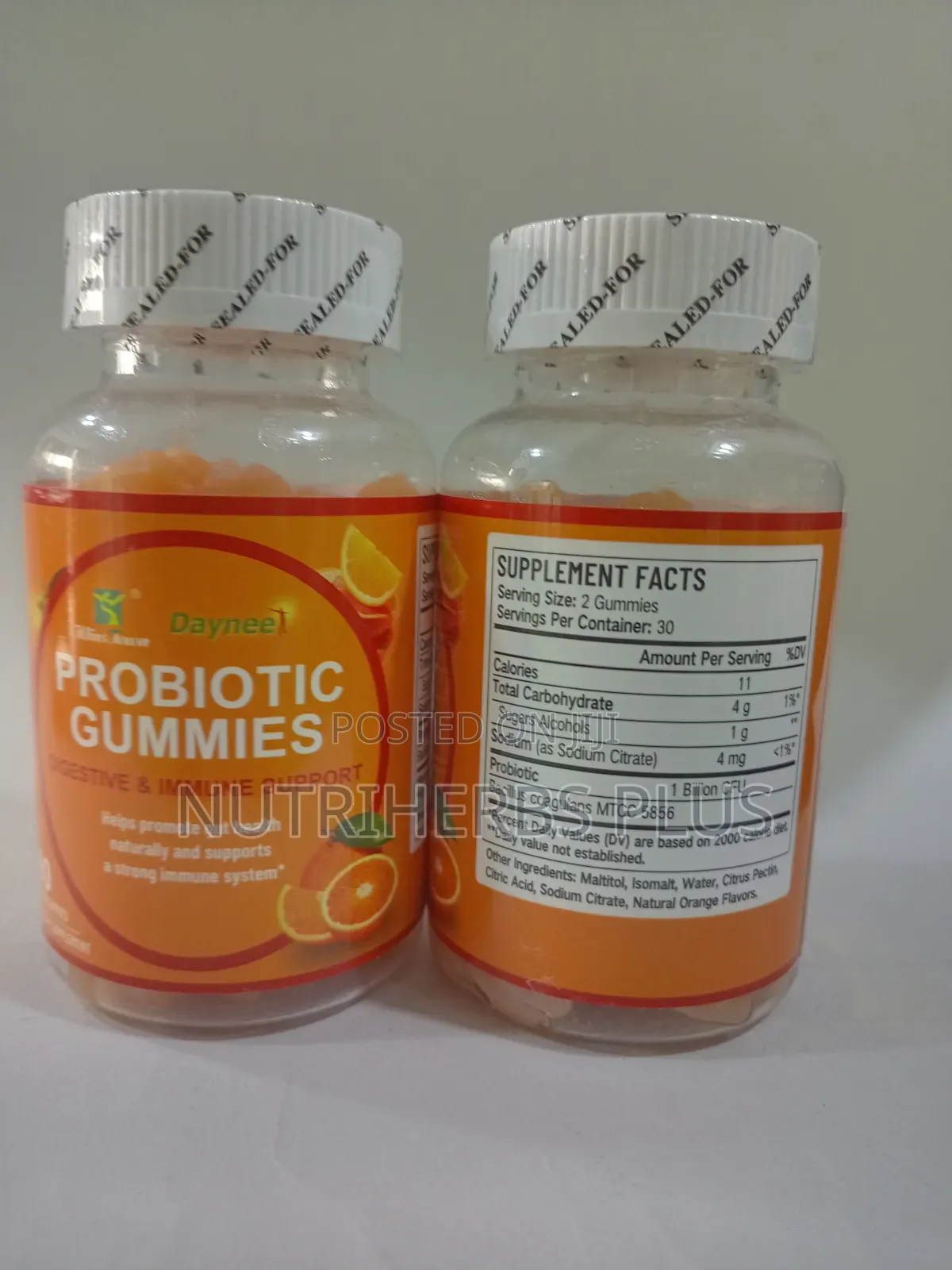 Daynee Probiotic Gummies for Digestive Immune Support