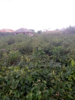 Lands and Properties for Sale