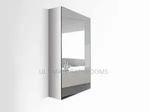 Stainless Storage Bathroom Mirror