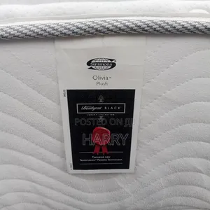6by6 Usa Hybrid Mattress for Back Pain