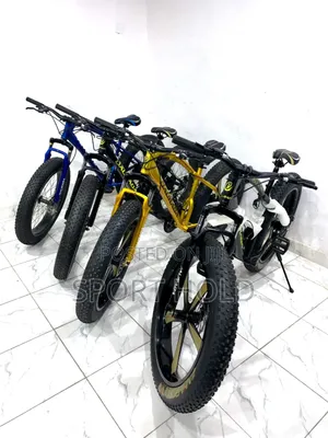 Foldable Bike