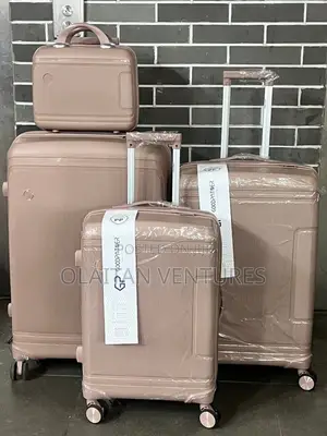 Set of Four Good Panther Travel Box