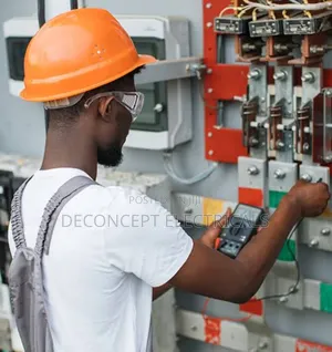 Professional Electrician