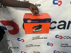 Pay Small Small Two Lion Electric Steam Iron On Cdcare.App