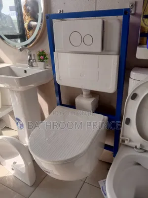 Conceal Water Closet With White Flush Plate