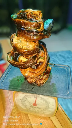 Oven Smoke Catfish