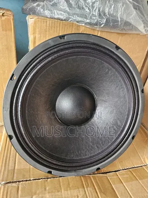 Original 12 Inches Naked Speaker