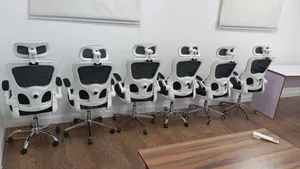 Beautiful Ergonomic Chair With Metal Leg