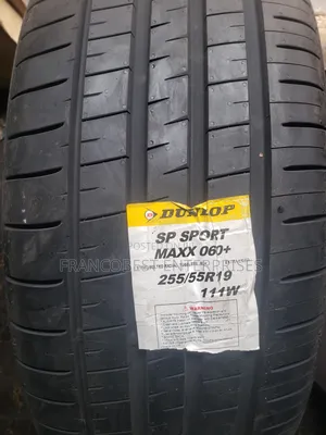 255/55r19 Dunlop Premium Tire