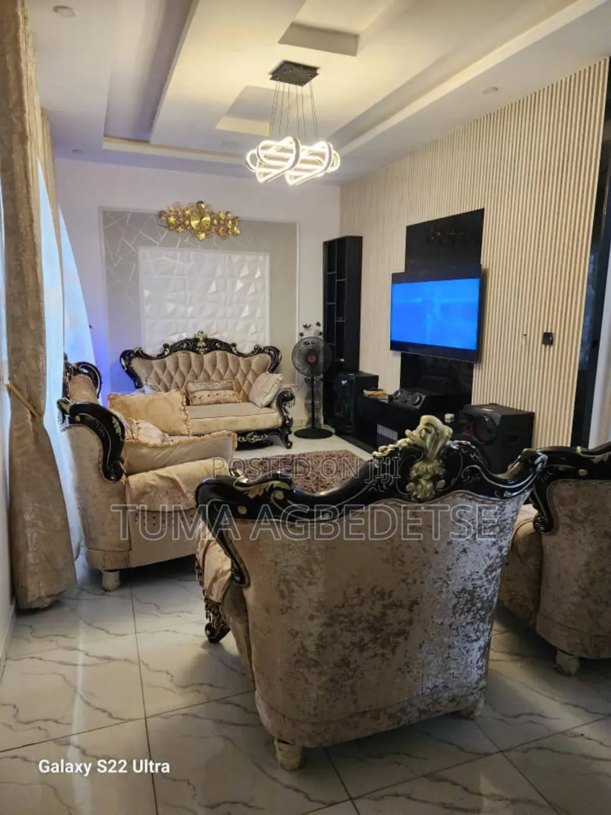 Planet Painter and Interior Decor