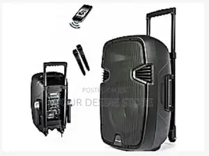 8'' Rechargeable Public Address System, 2 Mic, Fm