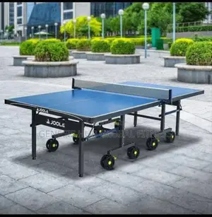 Big Tyre Outdoor Table Tennis (Joola)
