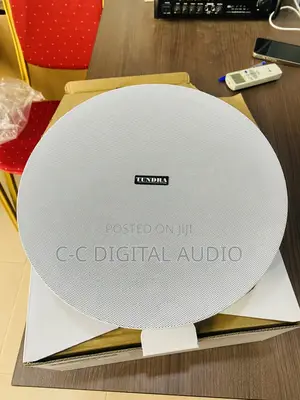 Tundra Passive Ceiling Speaker