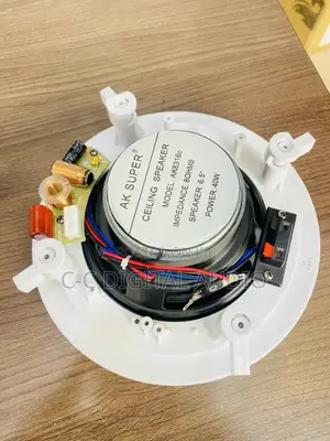 Ak Super Ceiling Speaker