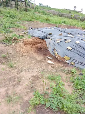 Manure (Dried Chicken Poo)