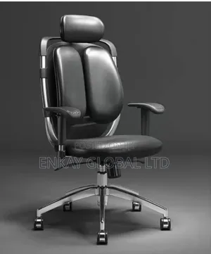 Excellent Executive Office Director Adjustable Hand Chair