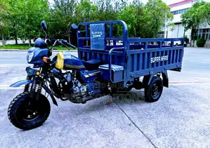 New Tricycle 2025 Blue