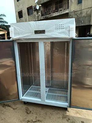 Double Doors Industrial Stainless Steel Kitchen Freezer