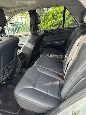 Mercedes-Benz M Class 2010 Silver
