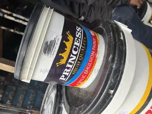 4l Princess Emulsion Paint