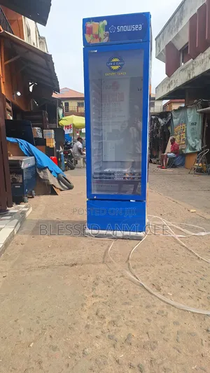 Original Snowsea Showcase Chiller 400l Fast Freezing 1year