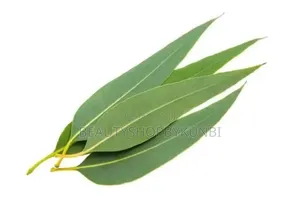 Dried Eucalyptus Leaves 50g