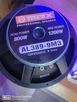 15 Inche Omax Speaker
