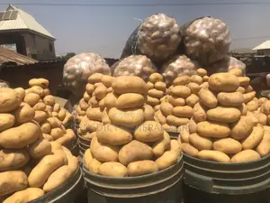 Irish Potato
