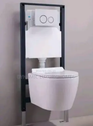 High Quality Twyford Wall Hung Wc With Conceal Tank