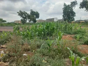 Industrial Plot Of Land For Sale In Idu Industrial