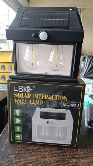 Double Solar Rechargeable Sensor Security Light