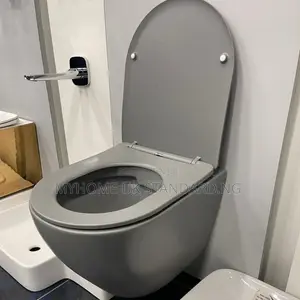 Grey Concealed Wc