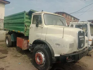 Man Tipper Truck