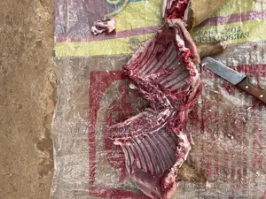 Goat Meat Sharing