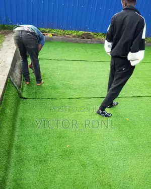 Carpet Grass and Installation