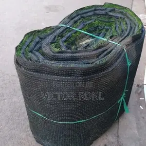 50mm Carpet Grass