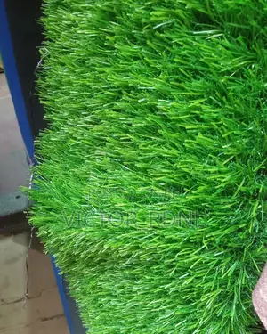 50mm Carpet Grass