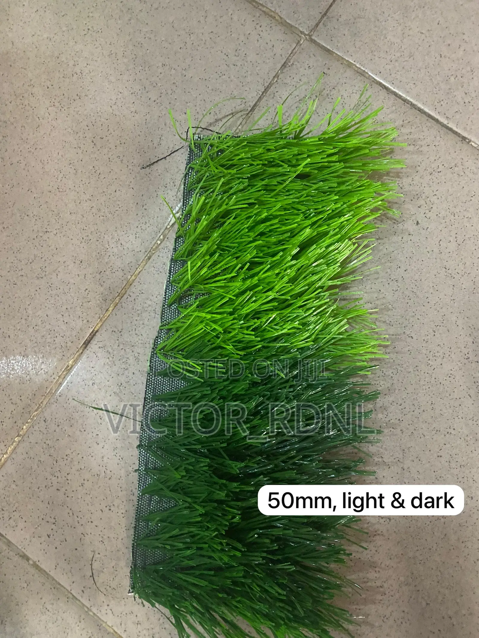 50mm Carpet Grass