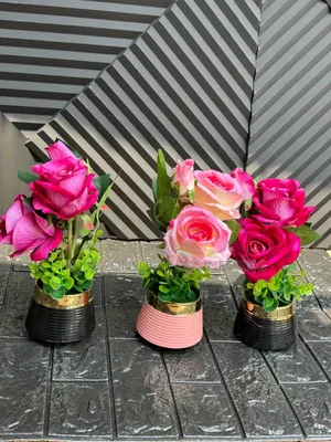 Rose Flower