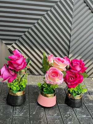 Rose Flower