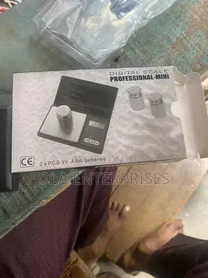 Electronic Pocket Scale