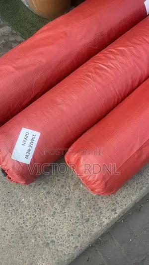 Original Carpet Grass