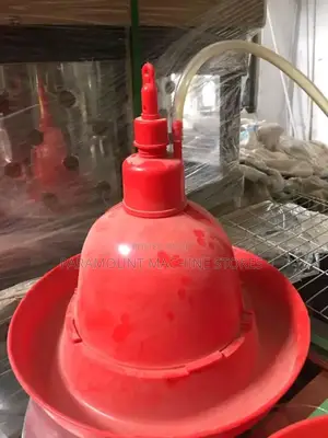 Adult Chicken Bell Drnker