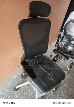 Ergonomic Chairs {0034eg}