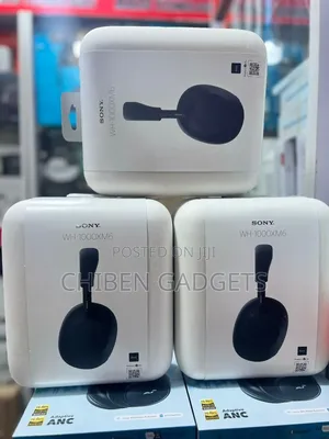 Sony Wh-1000xm6 the Best Wireless Noise Canceling Headphones