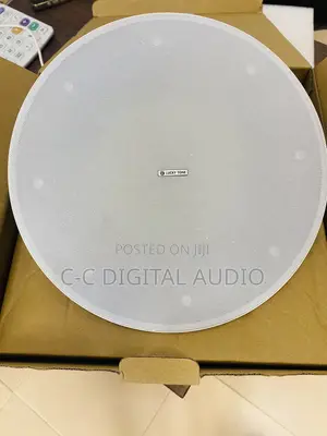 Lucky Tone Ceiling Speaker 