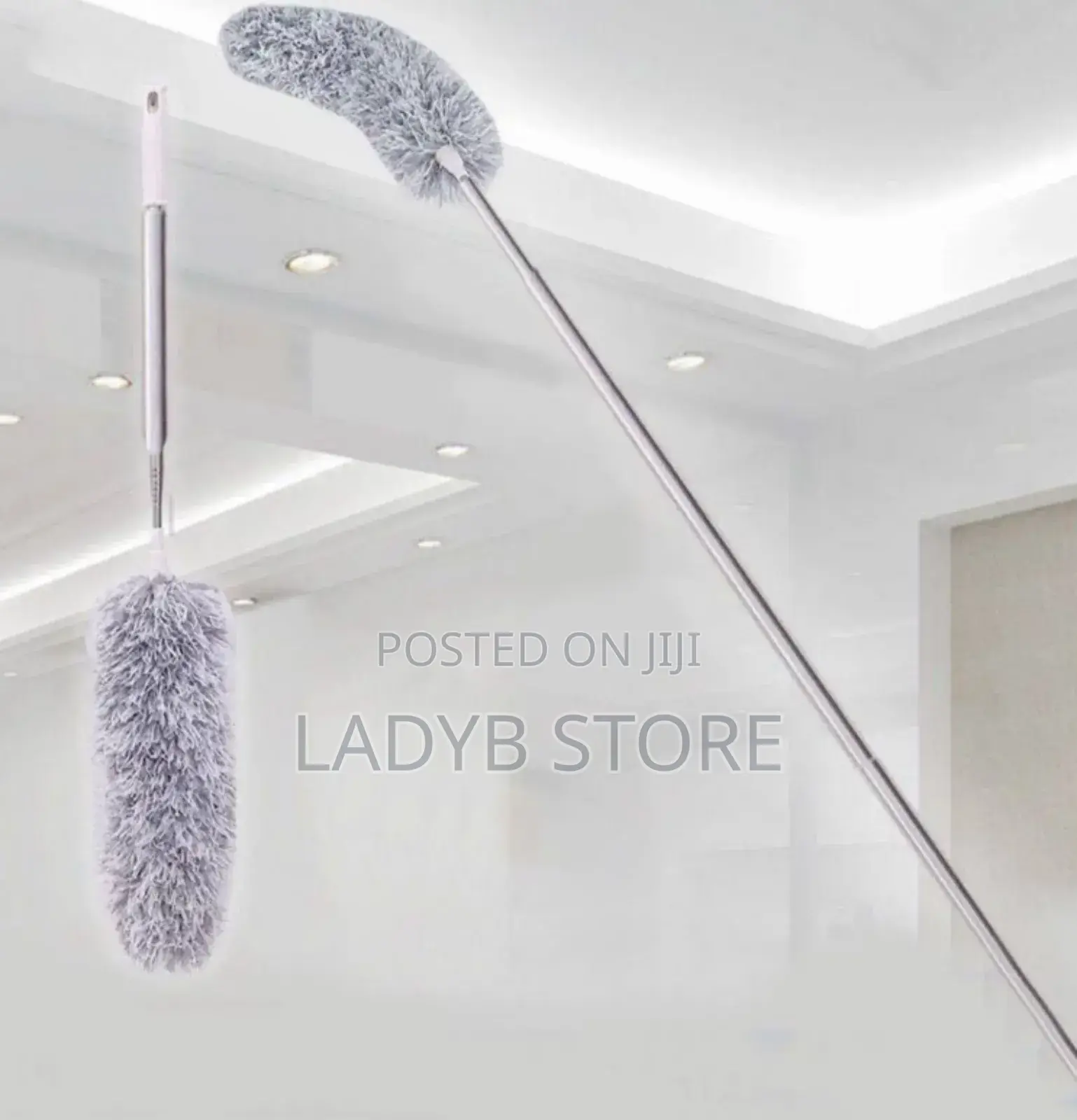 Telescopic Cleaning Duster
